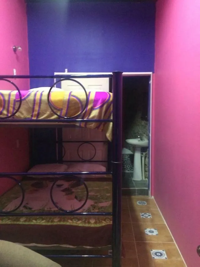 Gorilla'S Guest House Puebla Hostel